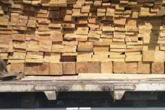 IMG-20230516-WA0015